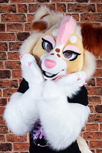 Australian shepherd fursuit