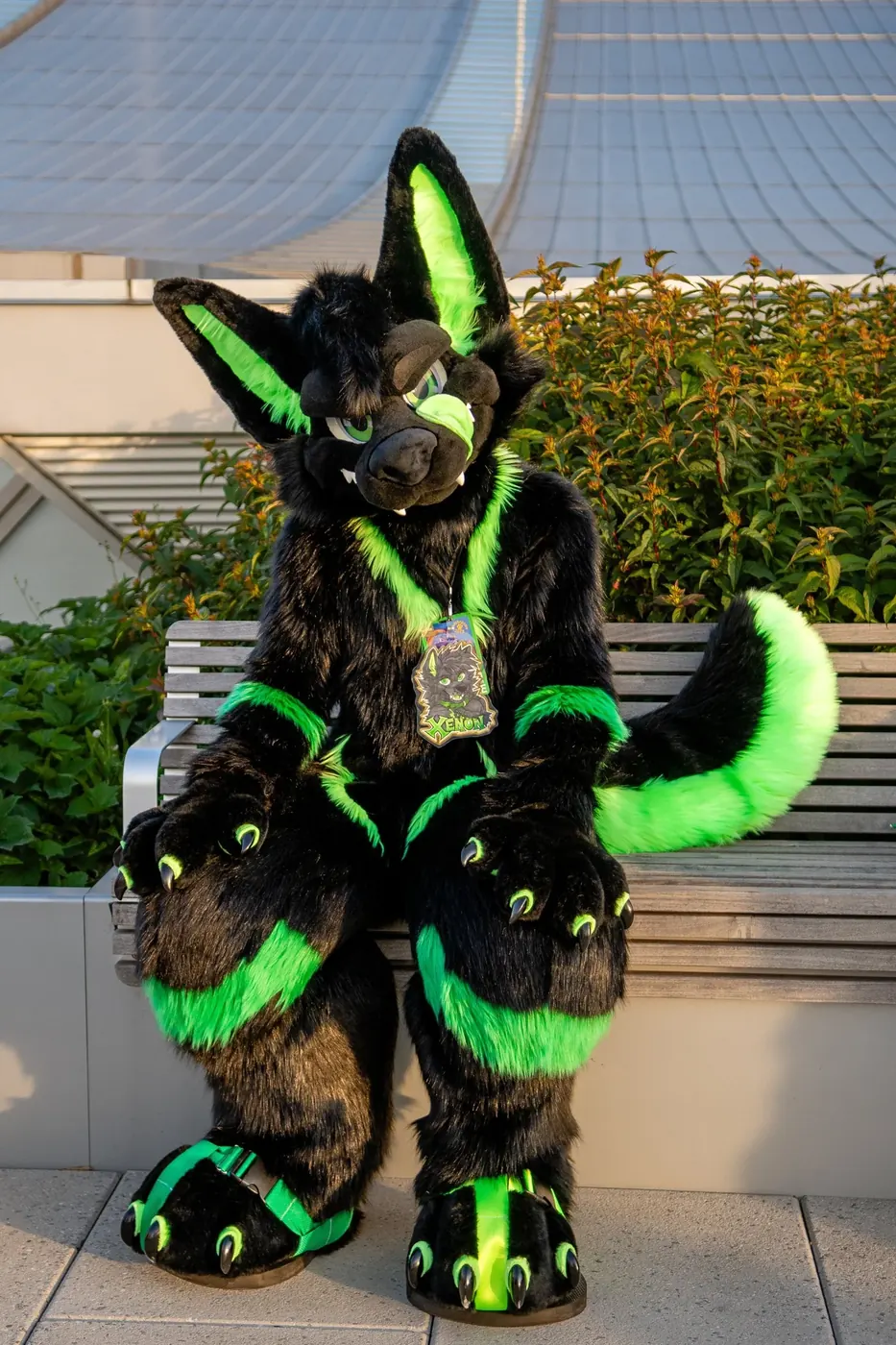 Finished fursuit photographed at the studio