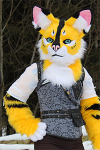 Program dmhuhsyxuaakxtn 1