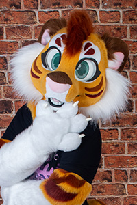 Program gttpremadeef